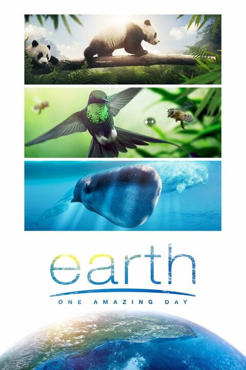 Planet Earth: One Amazing Day