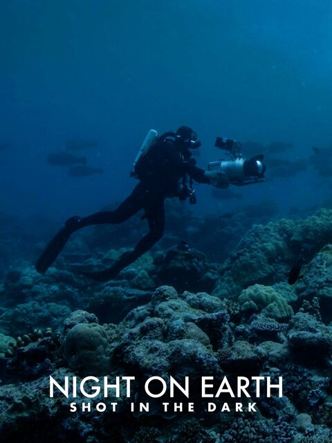 Night on Earth: Shot in the Dark