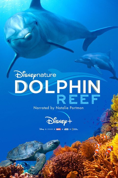 Dolphin Reef