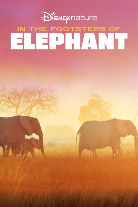 In the Footsteps of Elephant