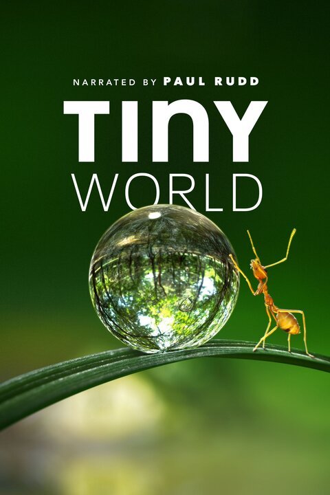 Tiny World