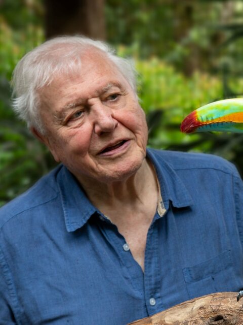 Life in Color With David Attenborough