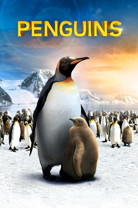 Penguins